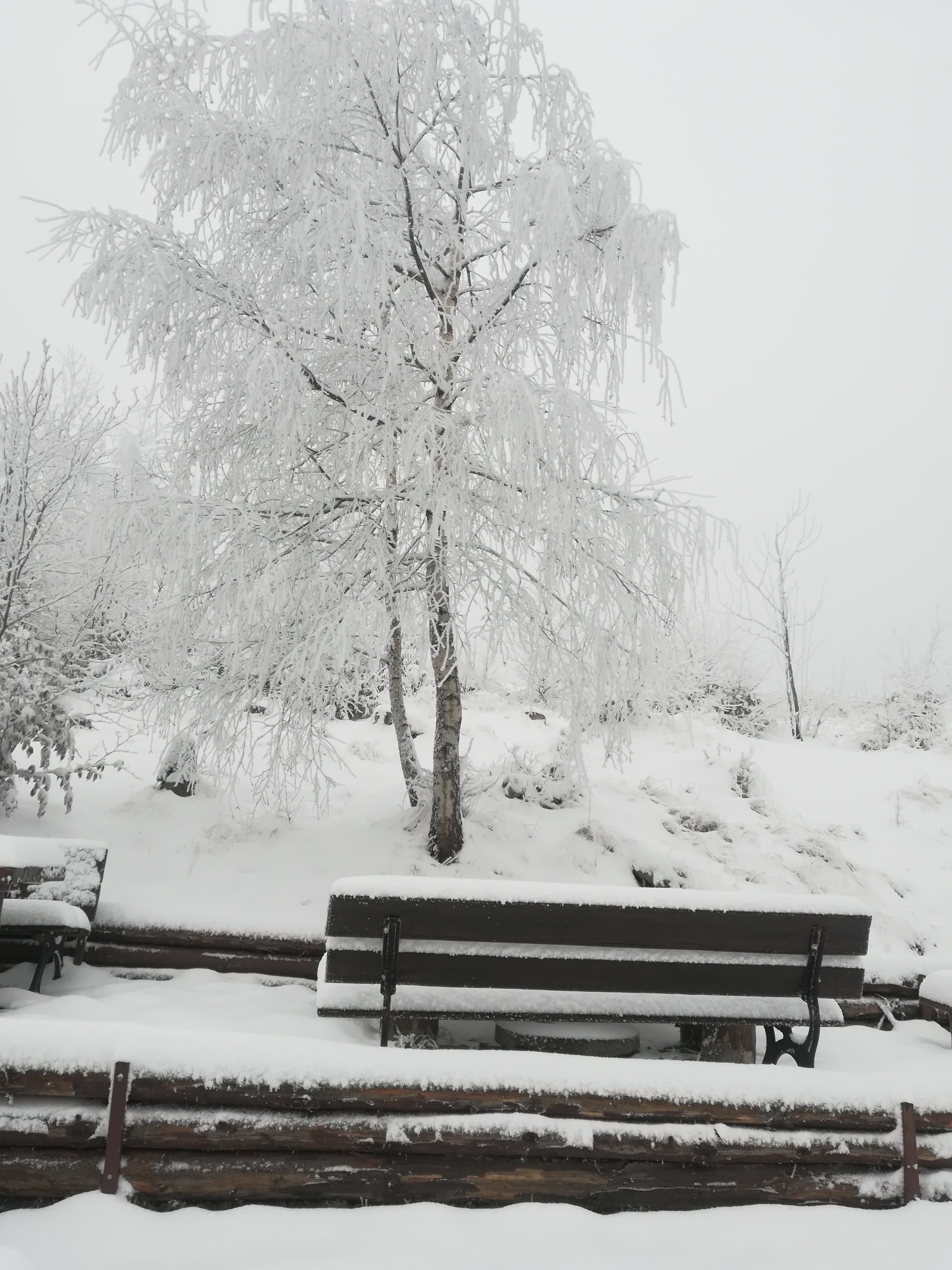 Schronisko Pod Biskupią Kopą